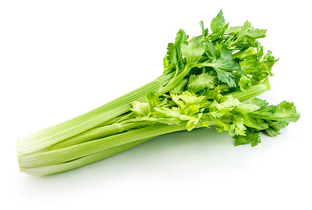 Fresh celery stalks on a white background